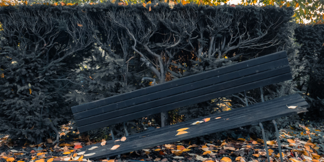 Modifying Behavior – Park Vandalism